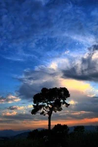 Background cover of The Breath of Creation [DROPPED]