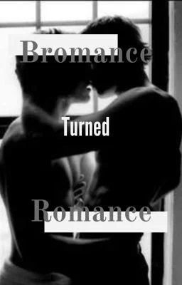 Background cover of Bromance turned Romance