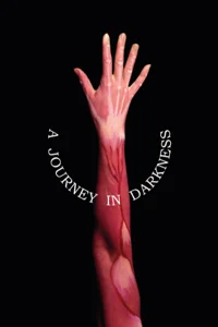 A Journey in Darkness