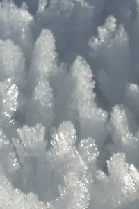 Background cover of Coeus?