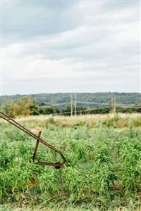 Background cover of The Power of Formations