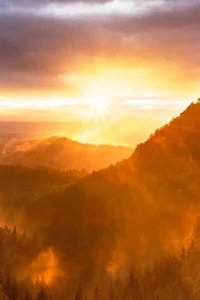 Background cover of Hunting Dawn