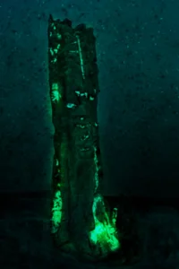 Background cover of Viridescent Core