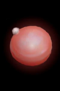 Background cover of Dungeon Pearl