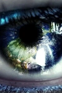 Background cover of BreakDown