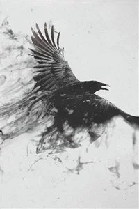 Background cover of Dragonfall: Soulborn