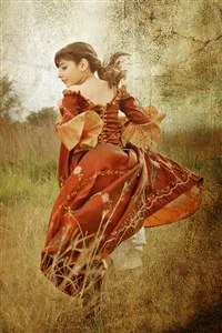 Background cover of How to Kidnap your Princess