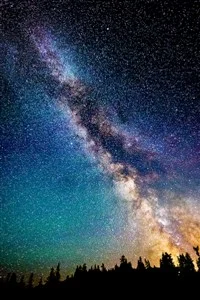 Background cover of Conscripted