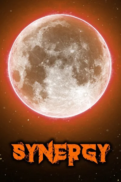 Background cover of Synergy [Book 1 & 2]